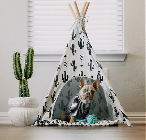 Picture of a cute dog sat in a Teepee looking at the camera indoors with its favourite toy by its paws looking as if to say "I want to play"