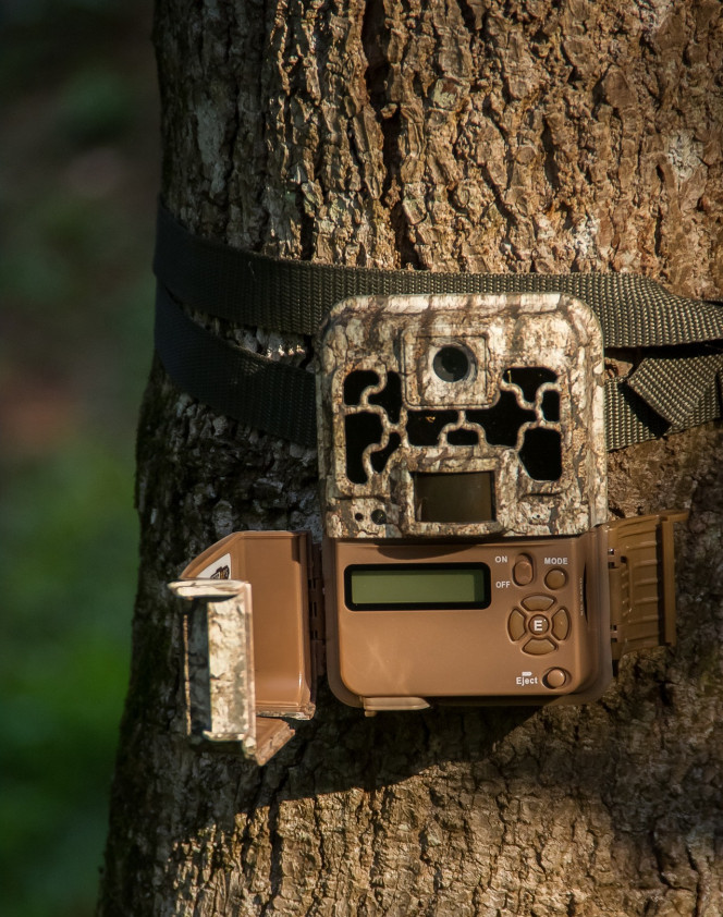 Picture of a trail camera and its controls