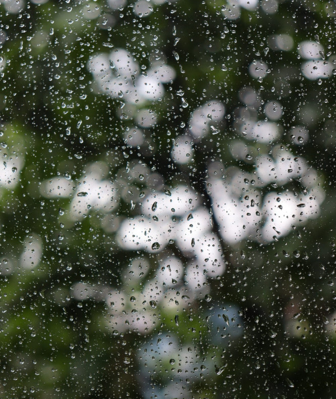 Image of a rainy day