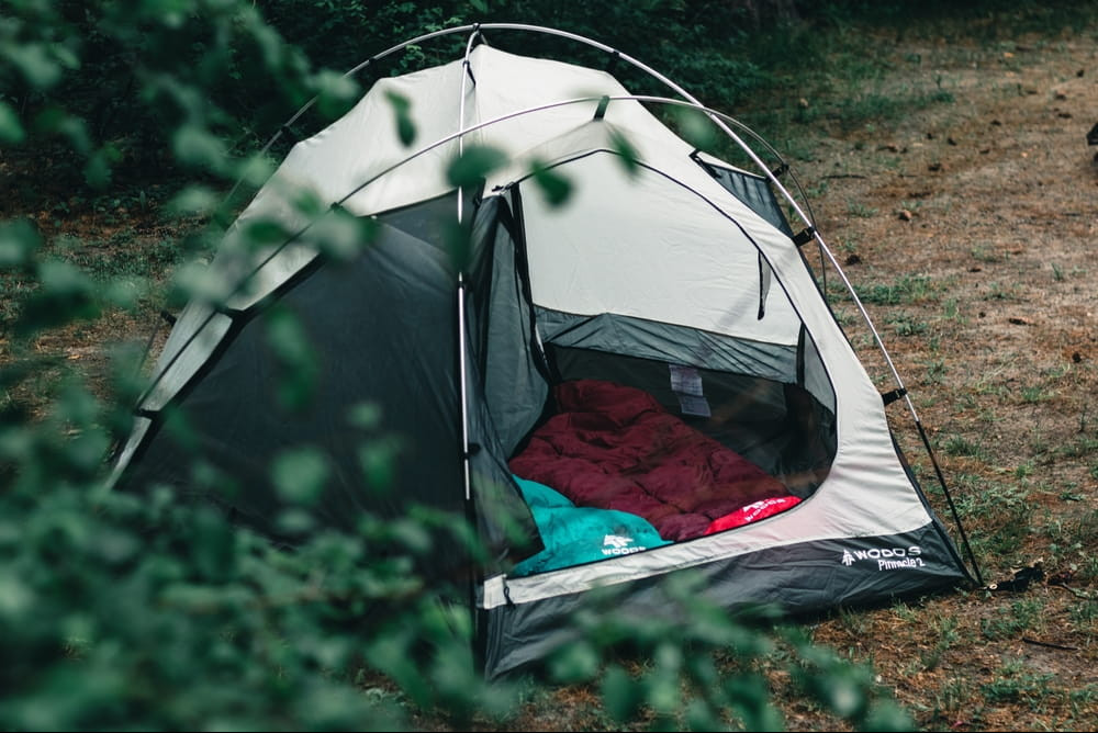 Tent pitched in a wood with an open door revealing a red and green sleeping bag