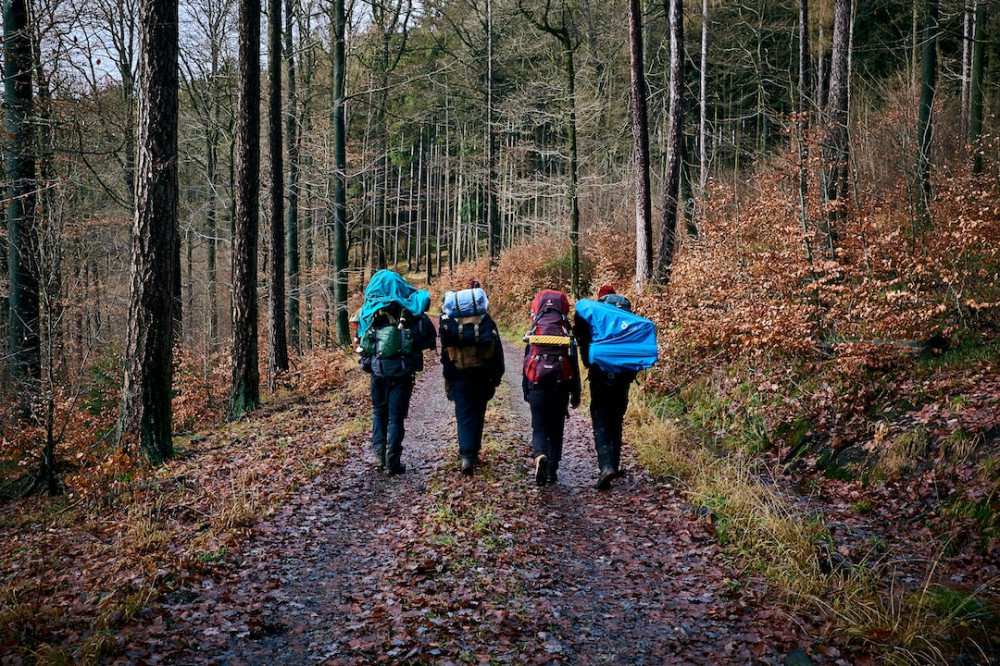 Four friends on a backpacking journey through the woods on a wet day