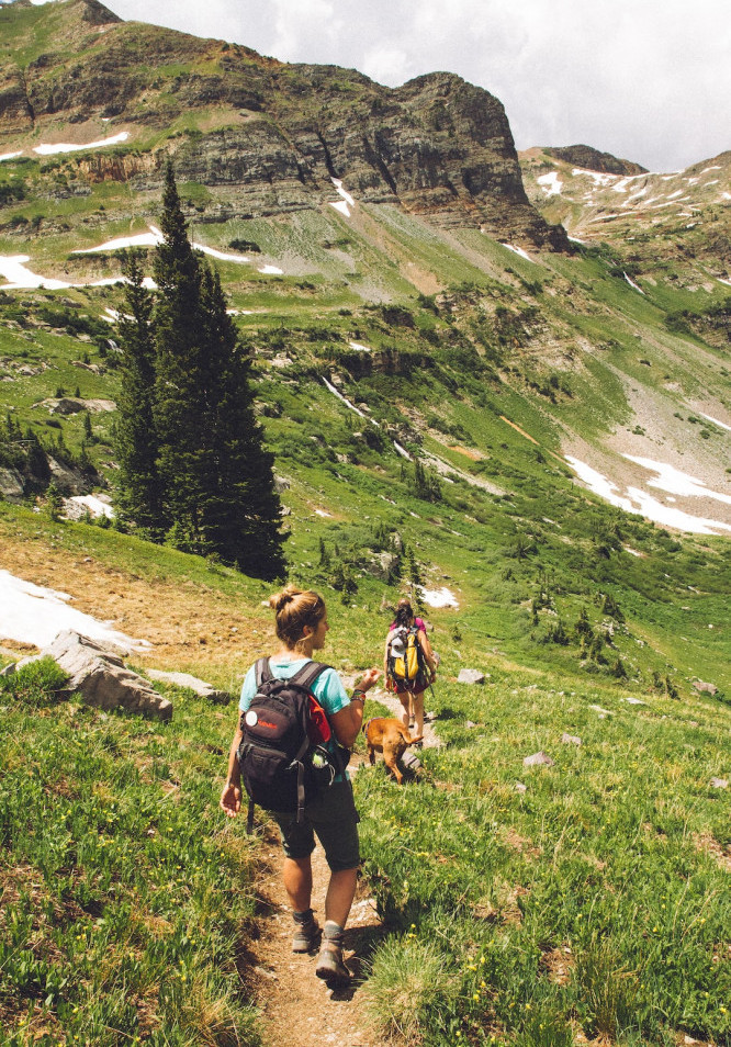 Hikers and their dog on a hike surrounded by the beauty of hills and mountanous terrain