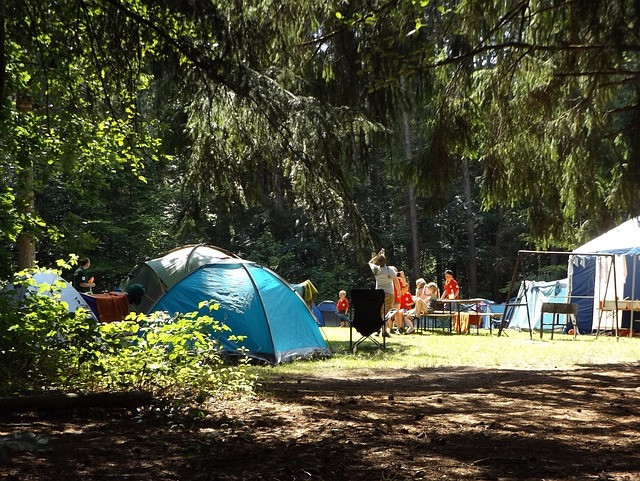 Many families camping together surrounded by trees on a beautiful sunny day enjoying life