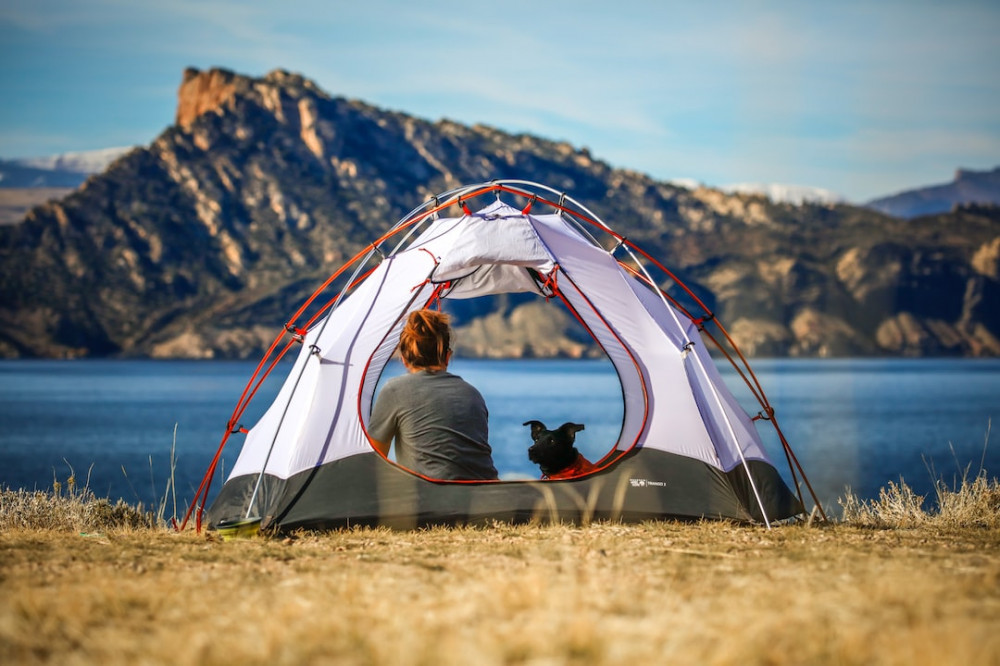 Solo camper with their dog pitched near a large lake with a view of the mountains