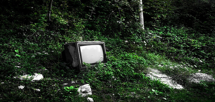 Television dumped in the woods