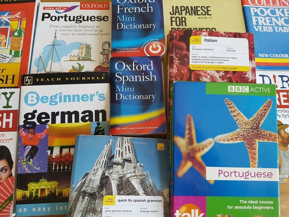 An array of different phrasebooks for different countries