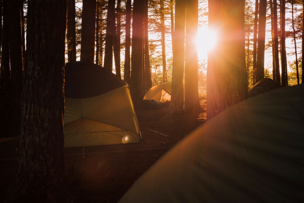 3 tents in the woods with the sun shining through the trees at sunrise