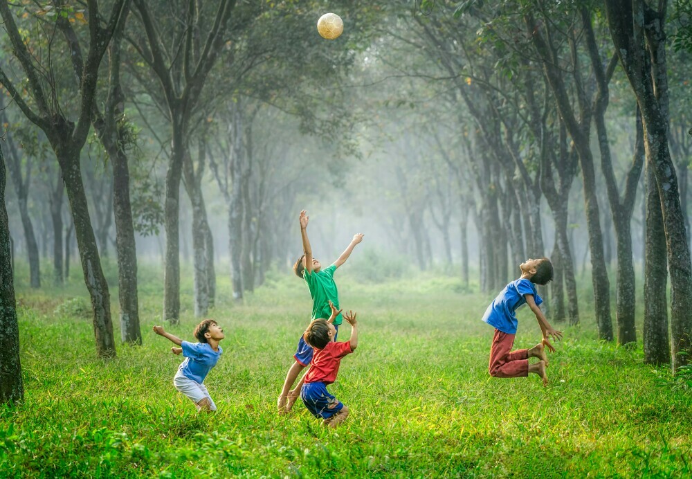4 kids having fun with a ball in the long grass with trees either side